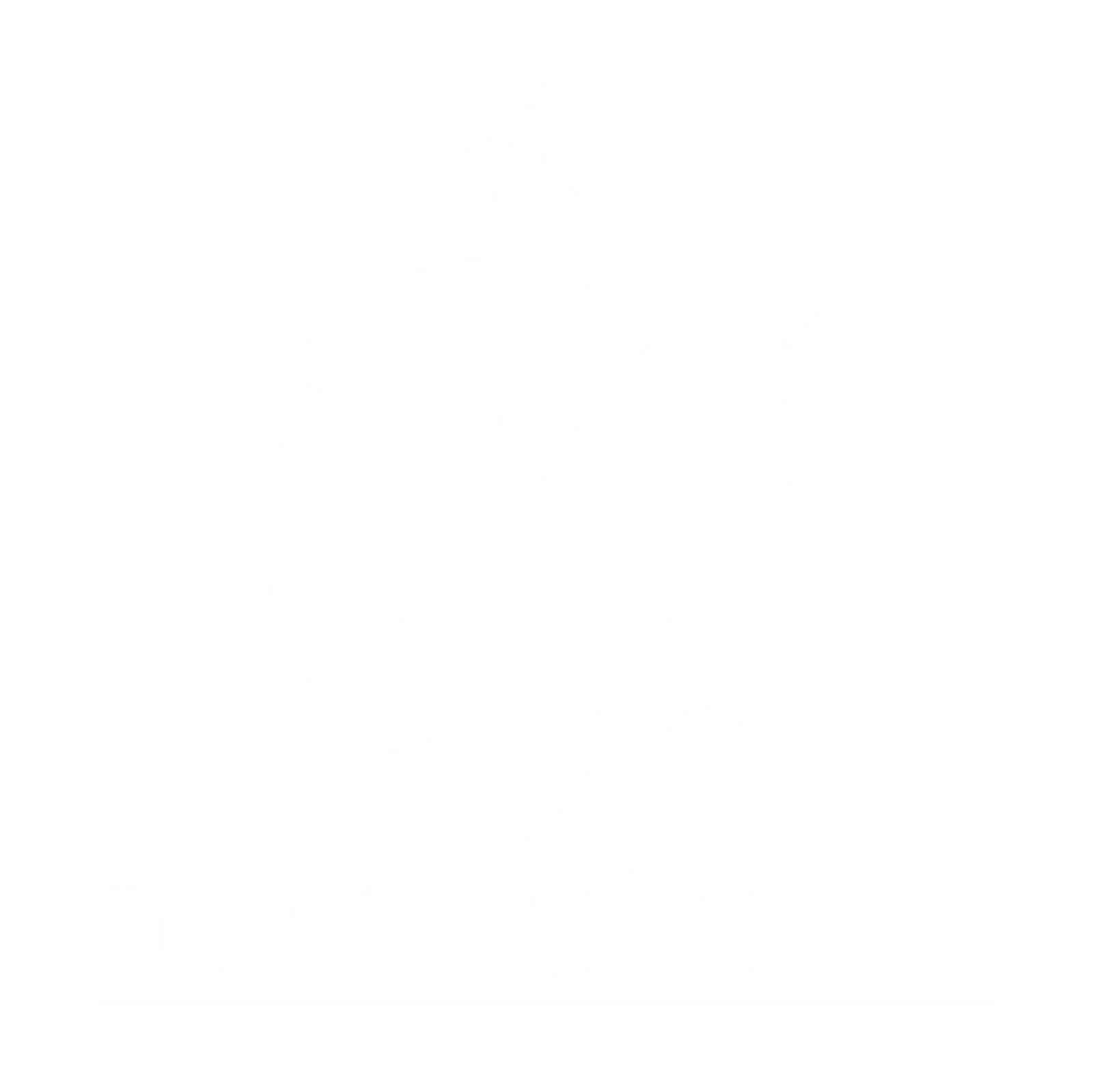 School Of Trade 3D emblem